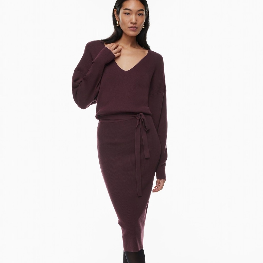 Aritzia Tracery Belted knit V-neck sweater dress